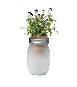 Bocaux de jardin de taille d'une pinte de <span class=keywords><strong>lavande</strong></span> kit de démarrage de seuil de fenêtre de jardin d'herbes kit de système de culture de tournesol hydroponique furtif - Product Image 1