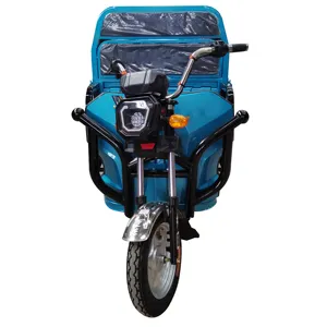 Giá rẻ e-trikes 3 bánh xe Cargo điện ba Bánh xe gắn máy ba bánh dành cho người lớn