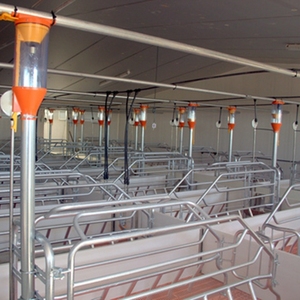 Jaula de parto a la venta en Filipinas Jaula para cerdos embarazadas con bebedero de acero inoxidable para cerdos - Product Image 5