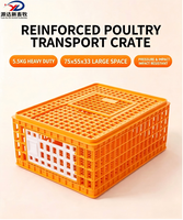 Caisse de transport robuste en plastique pour volailles, idéale pour l'élevage et le transport de poulets vivants