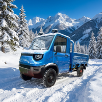 Camioneta Eléctrica Mini 4x4 de Alta Velocidad YS con Motor de 2000W, Autonomía de 101-200km, Fabricada en Shandong