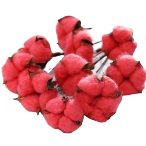 DIY Natural Dried <strong>Cotton</strong> <strong>Stems</strong> Artificial Flower Wedding Party Long Life Decor - Product Image 4