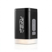 Pompe à air électrique portable et lampe anti-moustiques pour gonflage de matelas pneumatique
