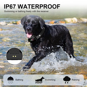 Mehrere Modi Hund Elektro halsband Training Schock halsband mit IP67 wasserdicht - Product Image 6