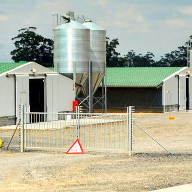 High-quality Factory Design Prefabricated Steel Structure Building Dairy Cow Shed Farm Metal Livestock Shed