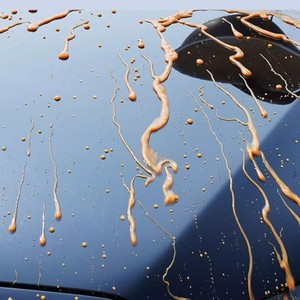 Cristal de Proteção Automotiva SUPER ARMOR, Preço de Fábrica, Dióxido de Silício, Alta Dureza, Ecológico, Brilho Duradouro, Anti - Product Image 4