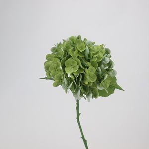 BF-HG16 Fiore <span class=keywords><strong>di</strong></span> Ortensia Artificiale in Lattice Verde Salvia <span class=keywords><strong>di</strong></span> Alta Qualità, Effetto Realistico, per Decorazioni Matrimoniali e Domestiche - Product Image 4