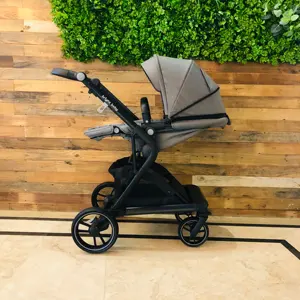 Silla de paseo 2 en 1 para bebé, carrito de bebé con ruedas EVA, fácil de doblar