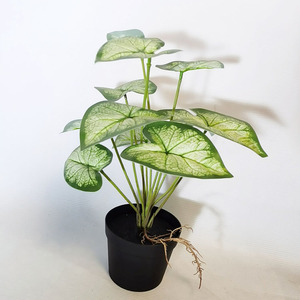 Piccola casa ufficio artificiale Dieffenbachia albero finta pianta d'<span class=keywords><strong>appartamento</strong></span> con verde dorato foglie di plastica <span class=keywords><strong>in</strong></span> <span class=keywords><strong>vaso</strong></span> pianta finta - Product Image 5