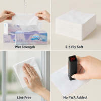 Mouchoirs en papier personnalisés promotionnels imprimés, 2 plis, emballage soigné, mouchoirs en papier imprimés très doux