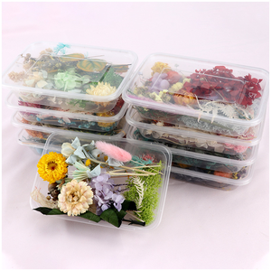 Kit de Matériaux de Fleurs Séchées DIY pour Fête de Remise des Diplômes - Cadres Photo, Bouteilles Flottantes, Maternelle, Salon - Product Image 6