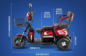 Vente du fabricant, tricycle électrique à trois <span class=keywords><strong>roues</strong></span> à énergie solaire, à carrosserie ouverte, pour le transport de marchandises et de passagers, 600W 800W 1000W, scooter pour adultes, prix bas - Product Image 4