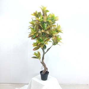 ต้นไม้ประดิษฐ์พลาสติกต้นบอนไซตกแต่ง <span class=keywords><strong>Codiaeum</strong></span> <span class=keywords><strong>variegatum</strong></span> 155ซม. สีส้มทันสมัย - Product Image 2