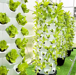 Sistema automático de plantación hidropónica <span class=keywords><strong>para</strong></span> interiores y exteriores, torre <span class=keywords><strong>vertical</strong></span> de riego, hierbas y verduras <span class=keywords><strong>para</strong></span> uso en jardín - Product Image 6