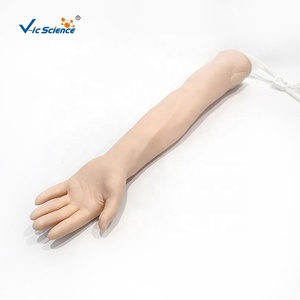 แบบจำลองแขนฝึกหัดฉีดยา (ไม่รวมชุด) แบบจำลองการฉีดยา แบบจำลองแขนฝึกเจาะเลือด ชุดฝึกปฏิบัติ - Product Image 1