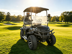 Carrito de Golf Compacto de 2 Plazas, Buggy Eléctrico de Fácil Control para Viajes por Playa y Resort, para Uso en Carreteras No Públicas - Product Image 6