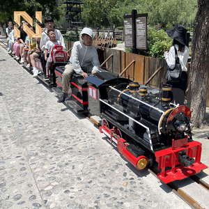 ที่กำหนดเองนั่งรถไฟไฟฟ้าขนาดเล็กสำหรับเด็กนั่งรถไฟเที่ยวชมกลางแจ้งสำหรับสวนสนุก - Product Image 3