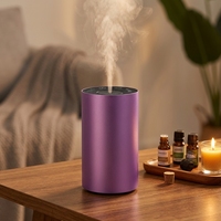 Diffuseur d'huiles essentielles sans eau, rechargeable, mini, portable, 20 ml, avec minuterie, pour voiture et maison.