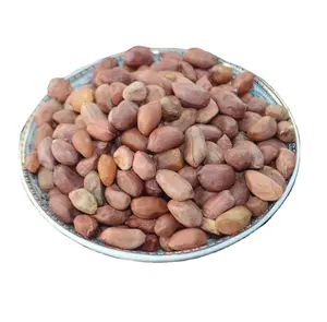 Chinese Premium Grade Kernel Fruit Peanuts Nutritious Bulk Food Red Skin Peanut