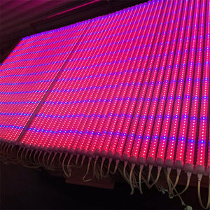 Lámpara LED T8 Hidropónica para Cultivo, 1200mm, Aluminio, 15W/30W, IP44, 3 Años de Garantía, para Floración de Tomates - Product Image 3