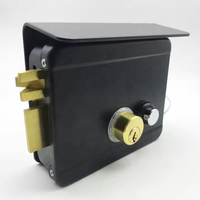 Serrure de porte principale extérieure de sécurité intelligente interphone sans clé contrôle d'accès 12V serrure de jante de porte électrique à Double cylindre avec housse de pluie