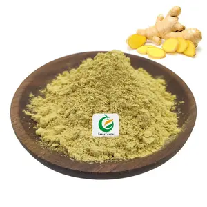 Fruiterco Supply Ginger Root Extract Powder Gingerol 5% Ginger Extract