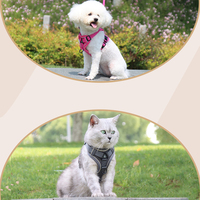 Harnais de mise à niveau extérieure, avec boucle réglable, pour animaux domestiques, harnais assorti, de qualité, pour chiens et chats, 20121