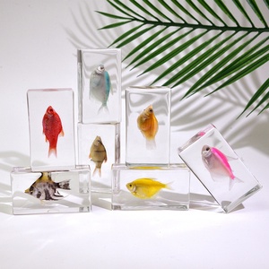 Bộ sưu tập động vật bằng nhựa <span class=keywords><strong>epoxy</strong></span> acrylic hình cá và vỏ sò dùng làm đồ trang trí đám cưới, đồ thủ công, quà tặng giáo dục, tài liệu dạy học - Product Image 1