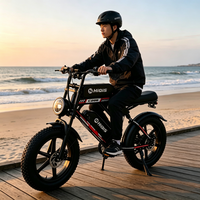 Vélo électrique HiQiS C200 Pro avec pneus larges, faible MOQ, vente en gros, stock entrepôt UE/US, double batterie 35Ah 48V, longue autonomie