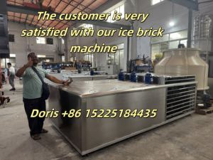 Máquina comercial industrial <span class=keywords><strong>de</strong></span> fabricación <span class=keywords><strong>de</strong></span> bloques <span class=keywords><strong>de</strong></span> <span class=keywords><strong>hielo</strong></span> <span class=keywords><strong>de</strong></span> salmuera grandes para el mercado africano - Precio - Product Image 2