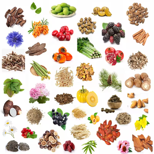 Estratto di Salacia Chinensis L. Fornitura Diretta dalla Fabbrica, Polvere di Estratto di Radice di Salacia Reticulata - Product Image 3