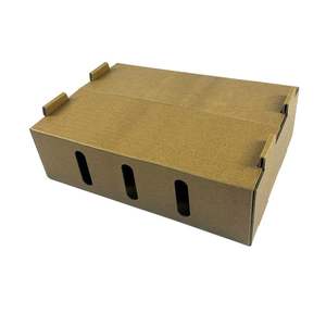 Boîte en carton ondulé solide à 3 couches de haute qualité avec revêtement à la cire pour l'expédition <span class=keywords><strong>express</strong></span> et l'emballage de poisson congelé - Product Image 2