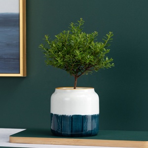 Nueva decoración del hogar <span class=keywords><strong>macetas</strong></span> de flores de cerámica <span class=keywords><strong>a</strong></span> granel pequeñ<span class=keywords><strong>a</strong></span> maceta suculenta esmaltada pintada <span class=keywords><strong>a</strong></span> <span class=keywords><strong>mano</strong></span> - Product Image 4
