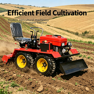Fresatrice Rotativa Diesel <span class=keywords><strong>per</strong></span> Trattore Agricolo, PTO, <span class=keywords><strong>per</strong></span> Semina Patate, Ricambi <span class=keywords><strong>per</strong></span> Motozappe, Vendita all'Ingrosso - Product Image 4