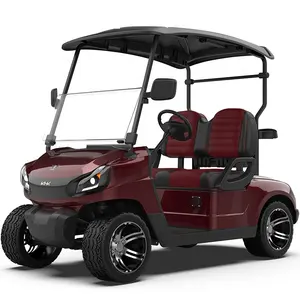 新品牌2座街合法电动高尔夫球车在中国电动高尔夫球车