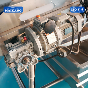 Peladora y Lavadora de Rodillos Paralelos para Alimentos, Máquina Automática para Pelar y Limpiar Vegetales de Raíz con Rodillo de Cepillo - Product Image 6