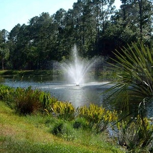 DISEÑO GRATUITO Piscina con Forma de Flor, Campo de Golf Flotante Portátil Pequeño para Agua - Product Image 4