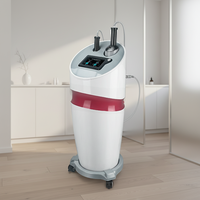Appareil de massage et de traitement 2 en 1 pour le corps, machine de contouring et de raffermissement, rouleau de thérapie