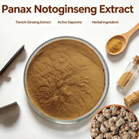 Fournitures d'usine : Extrait de Notoginseng Pur Naturel de Qualité Supérieure