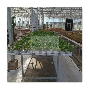 Greenhouse Vertical Hydroponic Strawberry Growing System PVC Channel Nft Hydroponic Gully Hydroponics System for Greenhouse Farm