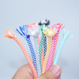 Cung Cấp Tại Chỗ Màu Lưới <span class=keywords><strong>Polyester</strong></span> Vòng Lõi Sợi Dây Thừng Trong Suốt Nhựa Tip Dây Kéo Hoodie Dây Kéo Bện Dây Thừng Dây - Product Image 4