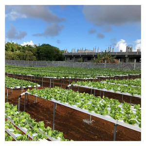 Đảm bảo chất lượng nft gully thủy canh PVC kênh thủy canh phát triển hệ thống cho trang trại canh tác thủy canh nft kênh - Product Image 6