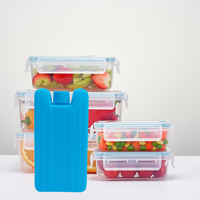 Briques de glace réutilisables écologiques pour glacière – Rétention de la fraîcheur longue durée – Idéales pour le camping et les pique-niques – Vente directe usine