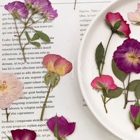 Collection Rose : Fleurs séchées écologiques faites à la main pour loisirs créatifs, spécimens de plantes naturelles recouverts de résine – Idéal pour les remises de diplômes, mariages, Noël