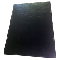 Module solaire photovoltaïque flexible Sunpower ETFE léger pour balcon, pliable, à contact arrière, 200W, IP67, 5 ans, 19,5% de rendement.