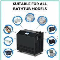 Bain de glace en acier inoxydable pour la thérapie et la récupération physique, Wi-Fi, mini baignoire portable à ozone, refroidisseur d'eau pour bain de glace