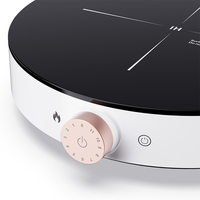 Table de cuisson à induction électrique 2000W en gros avec panneau en verre cristallin anti-explosion pour cuisine