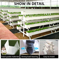 Gouttière hydroponique professionnelle en PVC pour la culture verticale de fraises en ferme, système de gouttières pour fraises