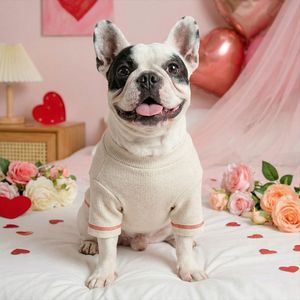 Nueva ropa de otoño/invierno para perros pequeños y cachorros, cálida y cómoda, perfecta para perros y gatos felices, especialmente para ellos. - Product Image 3