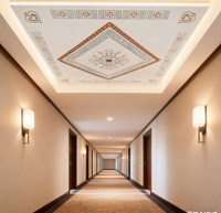 Panneau de plafond en PVC personnalisable : panneaux muraux en PVC imperméables et anti-âge répondant à vos exigences de décoration spécifiques